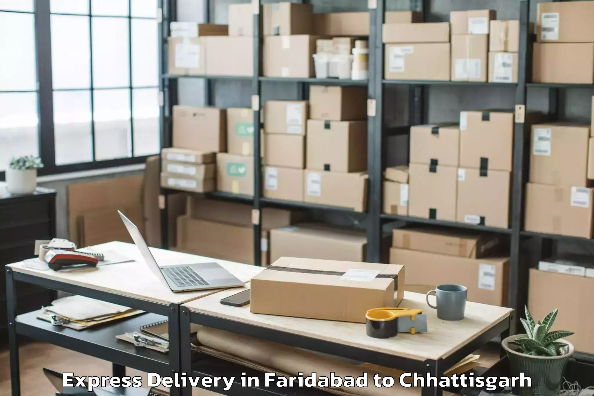 Quality Faridabad to City Center Mall Raipur Express Delivery